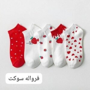 whatsapp image 2026 08 15 at 8.48.08 pm